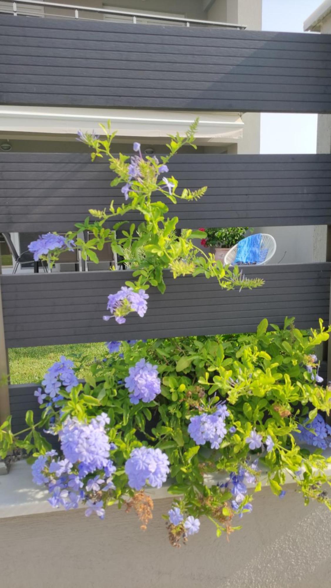 To Helidoni Apartment & Gardens Nikiti  Exterior foto
